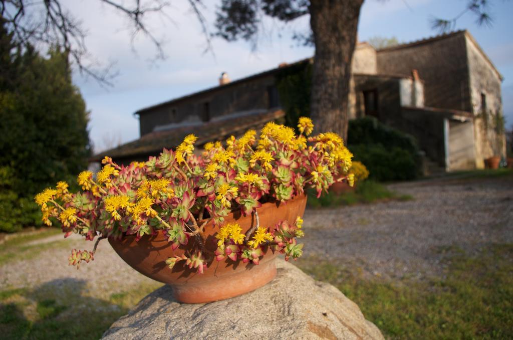 Bed and Breakfast Podere Pinzicalari Castel del Piano  Exteriér fotografie