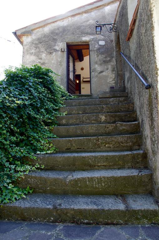 Bed and Breakfast Podere Pinzicalari Castel del Piano  Exteriér fotografie