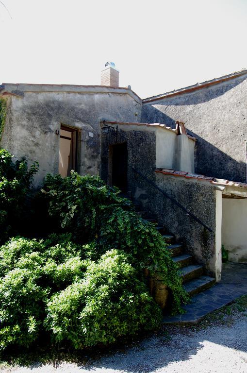 Bed and Breakfast Podere Pinzicalari Castel del Piano  Exteriér fotografie